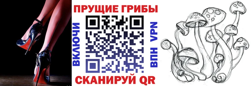 Галлюциногенные грибы Psilocybe  МЕГА вход  Омутнинск 